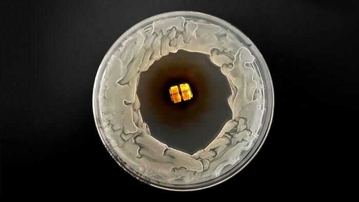 HydroShield&trade; Coating