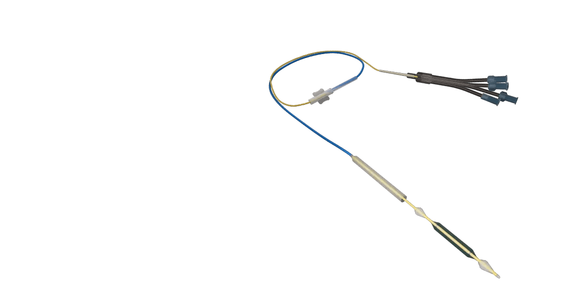DilaFusion
